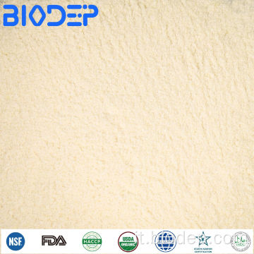 Potenziale bio-fertilizzante per il suolo e la pianta Azotobacter